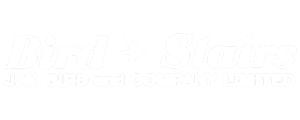 Bird Stairs Logo